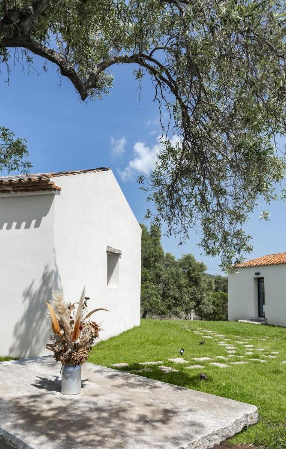 Bed & Breakfast Uddastri Retreat Arzachena