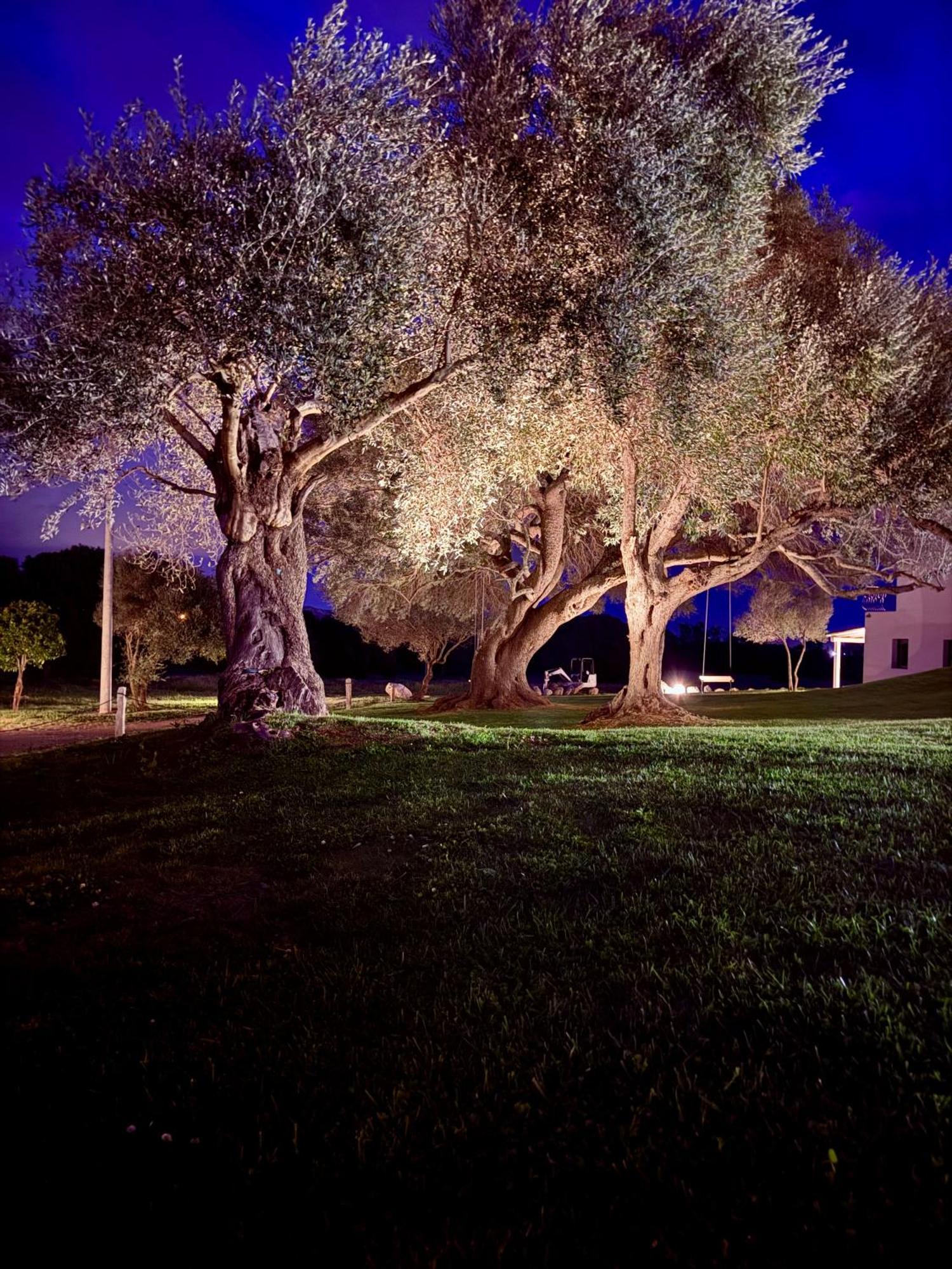 Uddastri Retreat *